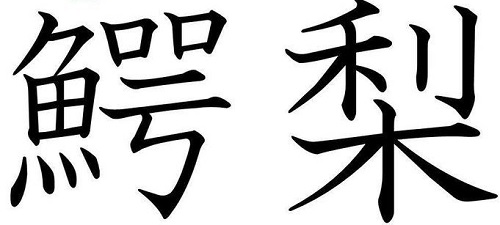 平均点大幅に割っている子の漢字練習は無駄 理科社会の用語だけ正しく書けるようにしよう オンライン家庭教師はどう 勉強しない小中学生